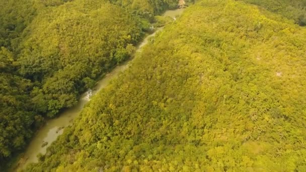 Río en la selva tropical Filipinas, Bohol . — Vídeos de Stock