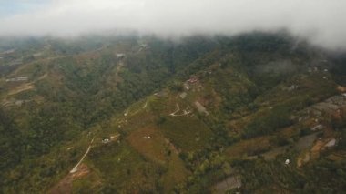Dağlarda sisli ve bulutlu tarlalar. Bali, Endonezya