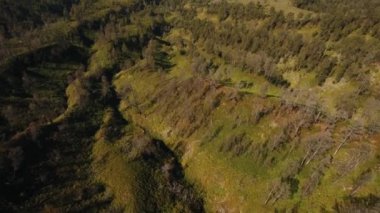 Dağ manzarası Jawa Adası, Endonezya.