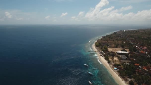 Piękna Plaża Tropikalne Palmy Widok Lotu Ptaka Tropikalnej Plaży Wyspie — Wideo stockowe