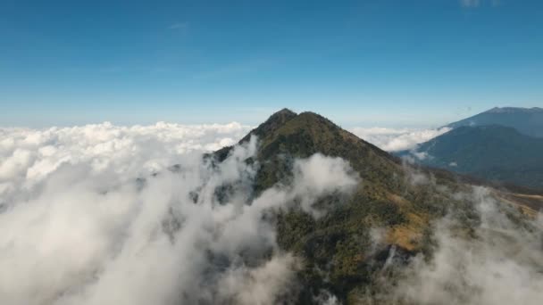 Montanha Coberta Floresta Tropical Árvores Sob Nuvens Vista Aérea Cobertura — Vídeo de Stock
