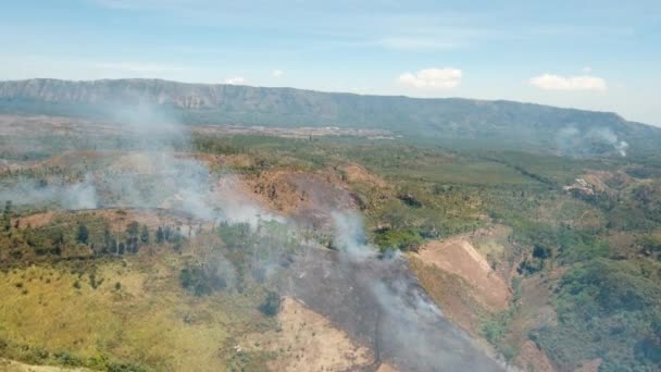 Vue aérienne Incendie de forêt. Île de Jawa, Indonésie .