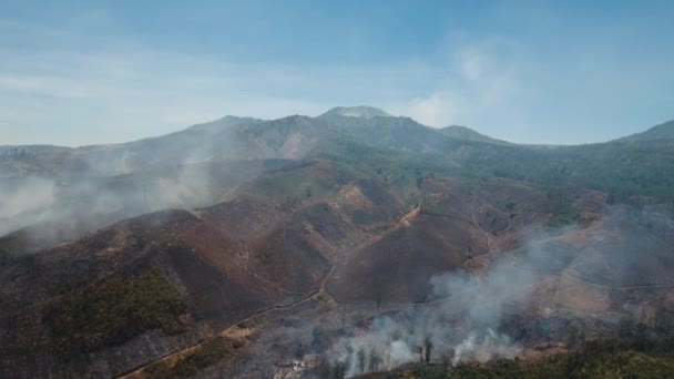 Widok z lotu ptaka pożar lasu. Wyspa Jawa, Indonezja. — Wideo stockowe