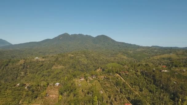 Horská krajina se zemědělskými pozemky, Bali, Indonésie — Stock video