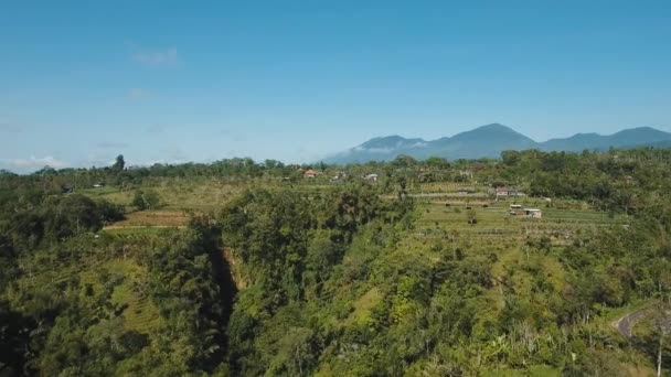 Bergslandskap med åkrar, Bali, Indonesien — Stockvideo