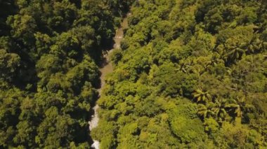 Bali, Endonezya ormanlarında Nehri.