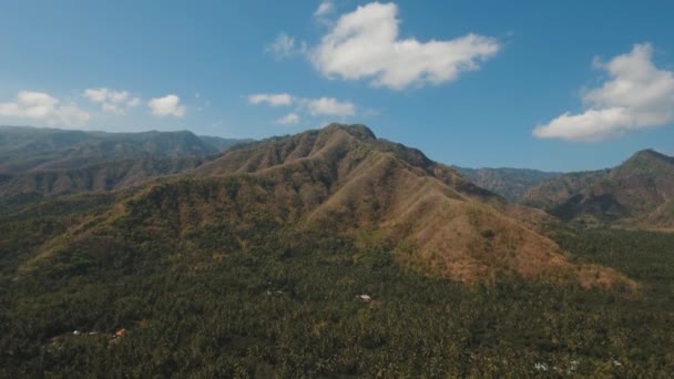 Blick auf die Bergwaldlandschaft. Bali — Stockvideo