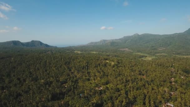 Paisagem montanhosa terras agrícolas e aldeia Bali, Indonésia. — Vídeo de Stock