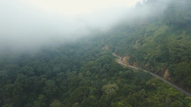 Weg in de bergen in de mist. Bali, Indonesië. — Stockvideo