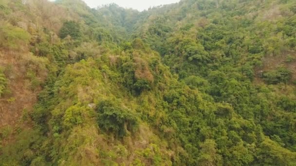 Vue du paysage de la forêt de montagne. Bali — Video