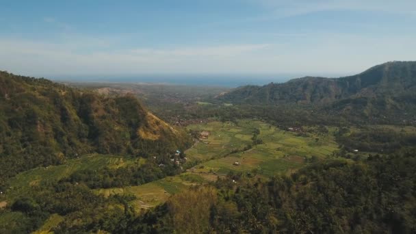 Dağ manzarası tarım arazileri ve Endonezya Bali köyü. — Stok video