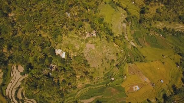 Paesaggio montano terreni agricoli e villaggio Bali, Indonesia. — Video Stock
