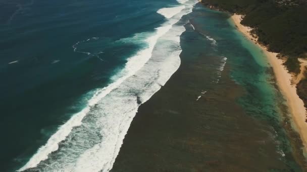 Αεροφωτογραφία όμορφη παραλία. Μπαλί, Ινδονησία. — Αρχείο Βίντεο