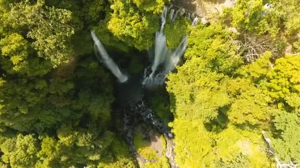 Hermosa cascada tropical. Bali,Indonesia. — Vídeo de stock