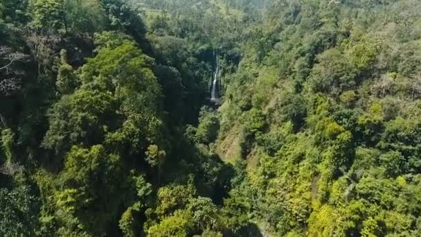 Belle cascade tropicale. Bali, Indonésie. — Video
