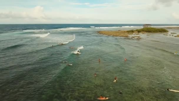 水面上のサーファー — ストック動画