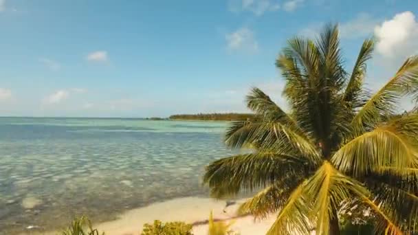 Praia tropical com e mar azul-turquesa — Vídeo de Stock