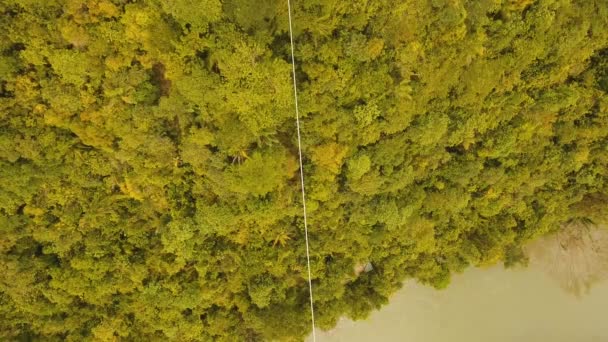 Attraction tyrolienne dans la jungle Bohol, Philippines .