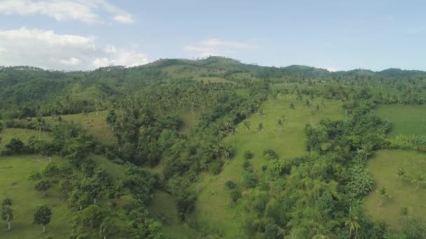 Palmy i gruntów rolnych w górzysta Prowincja — Wideo stockowe