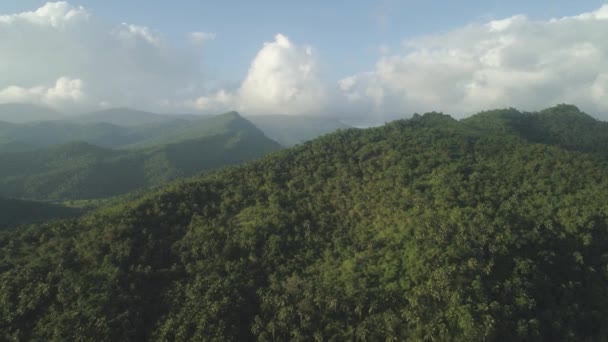 Filipinler 'deki dağ manzarası. — Stok video