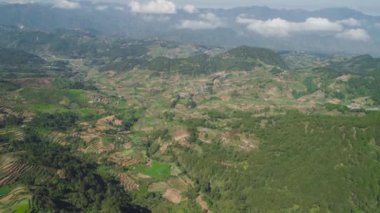 Filipinler 'de bir dağ ilinde tarım arazisi, Luzon