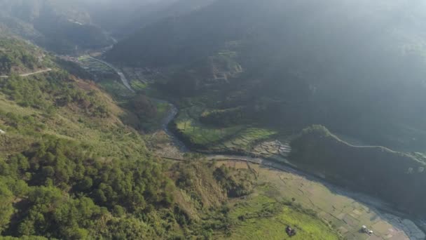 Rice terraces in the mountains. — Stock Video