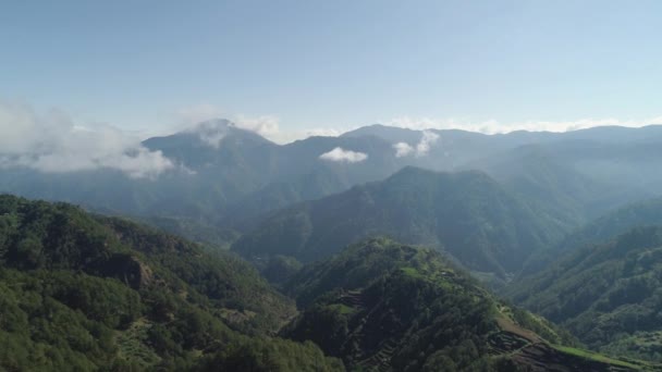 Terrazas de arroz en las montañas. — Vídeos de Stock