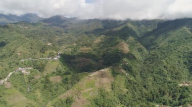 Dağlarda pirinç terasları. Filipinler, Batad, Banaue.