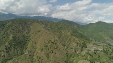 Dağlarda pirinç terasları.