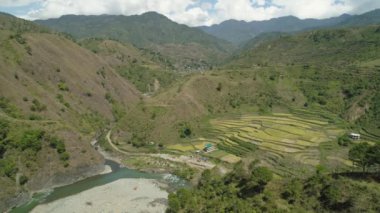 Dağlarda pirinç terasları.