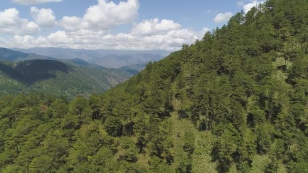 Provincia de montaña en Filipinas. — Vídeo de stock