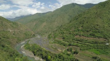 Havadan görünümü pirinç terasları ve dağların eteklerinde tarım arazisi. Kaplı dağları orman, ağaçlar. Cordillera bölgesi. Luzon, Filipinler.