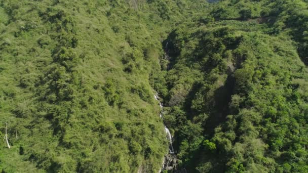 Cascada en las montañas. — Vídeos de Stock