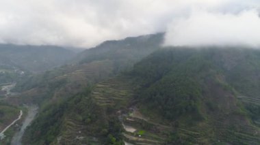 Dağlarda pirinç terasları.