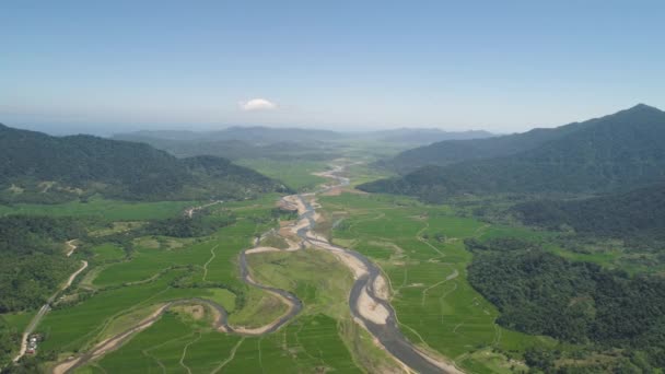 Valle de la montaña con tierras de cultivo en Filipinas — Vídeos de Stock