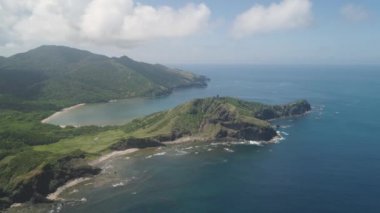 Palau adasının kıyısında. Filipinler.