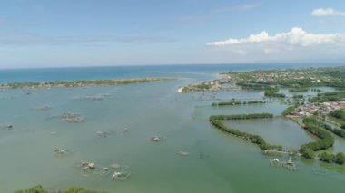 Kasaba mangroves suda arasında.