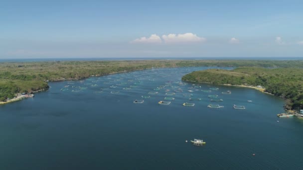 Granja de peces en el mar. — Vídeos de Stock