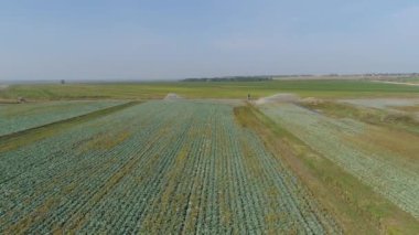 Tarım arazisindeki sulama sistemi.