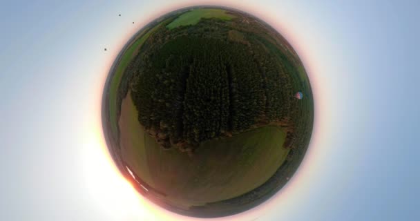 Globos de aire caliente en el cielo sobre el campo panorama esférico — Vídeo de stock