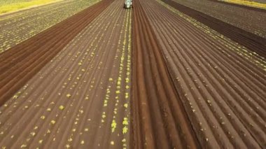 Traktör tarladaki toprağı işliyor..