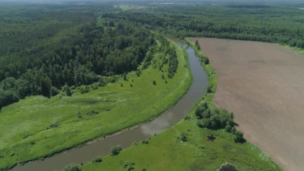 Luftaufnahme Sommerlandschaft Fluss Zwischen Bäumen Ackerland Landschaft Mit Wald Die — Stockvideo