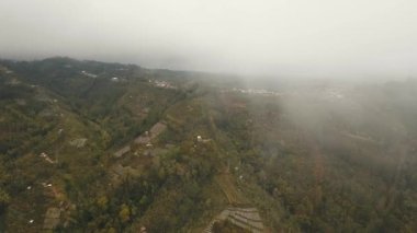 Dağlarda sisli ve bulutlu tarlalar. Bali, Endonezya