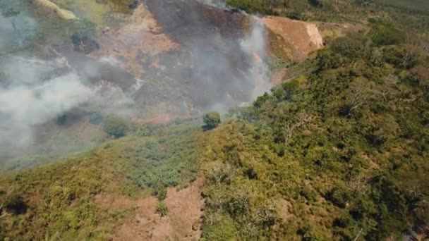 Vue aérienne Incendie de forêt. Île de Jawa, Indonésie .