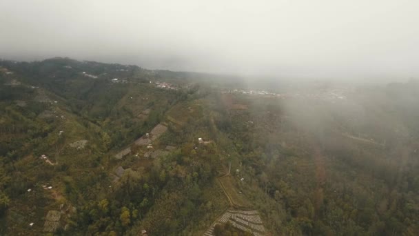 Zemědělská půda v horách v mlze a mracích. Bali, Indonésie — Stock video