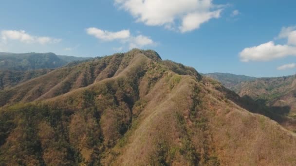Kilátás hegyi erdő táj. Bali — Stock videók