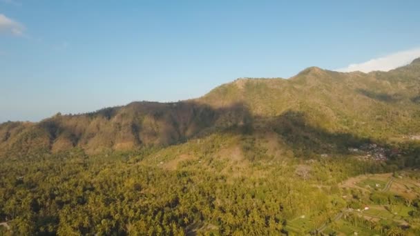 Вид на гірський ліс. Балі — стокове відео