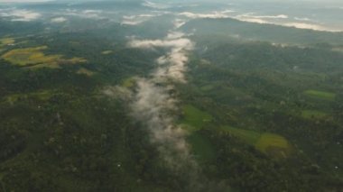 Günbatımında tropik manzara, Bali, Endonezya.