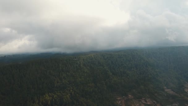 インドネシアのバリ島の雲の中の熱帯雨林. — ストック動画