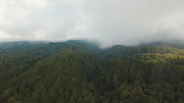 Regenwald in Wolken, Bali, Indonesien. — Stockvideo